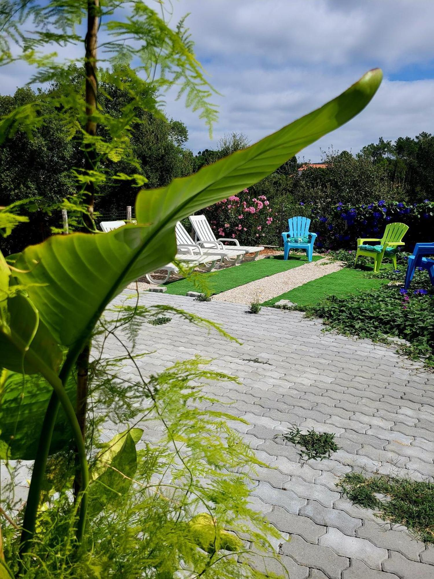 Отель Quinta Da Choupana Томар Экстерьер фото