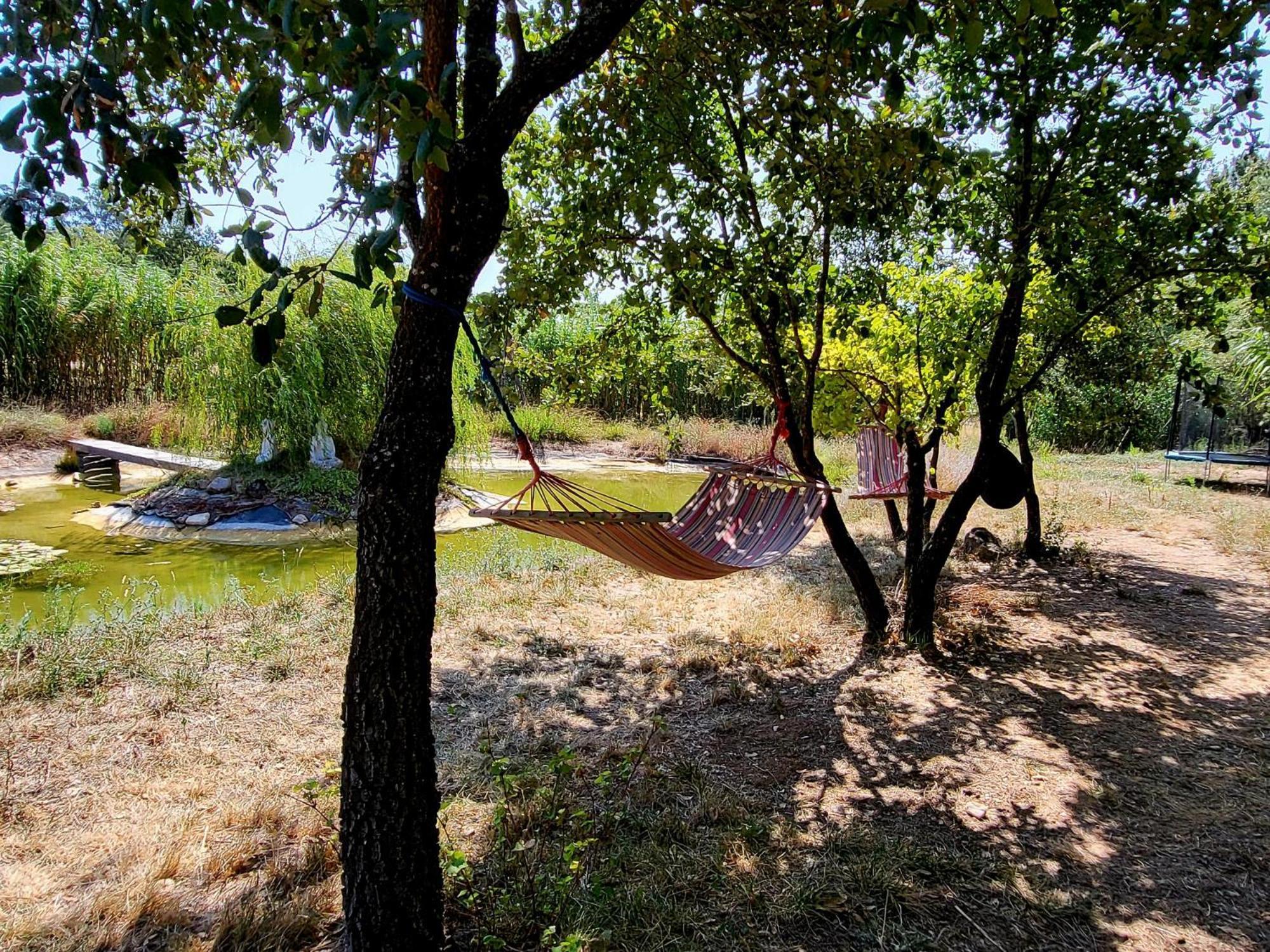 Отель Quinta Da Choupana Томар Экстерьер фото